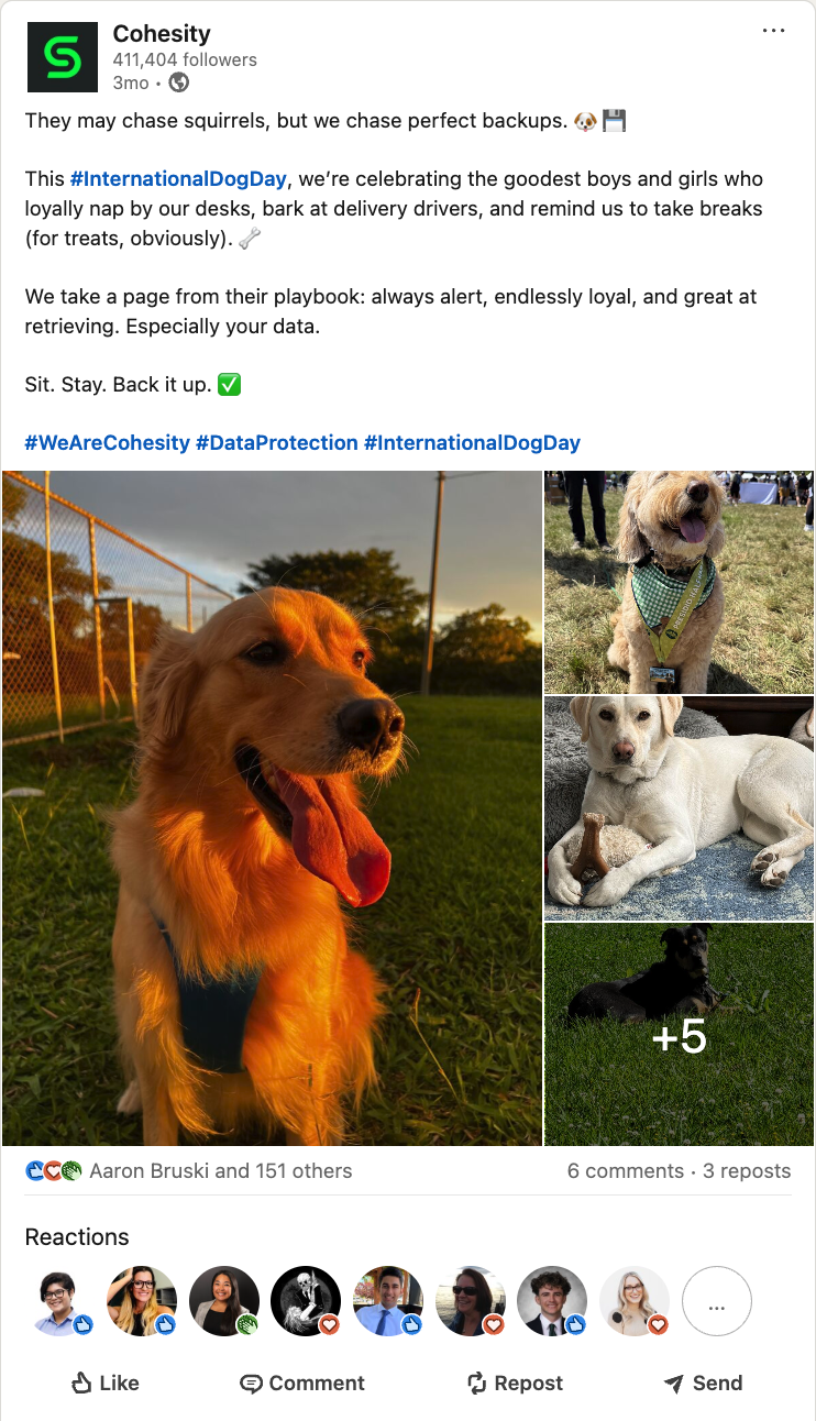 International Dog Day